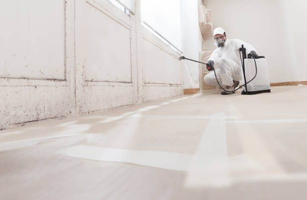24/7 Emergency Mold Remediation experts in Melfa, VA
