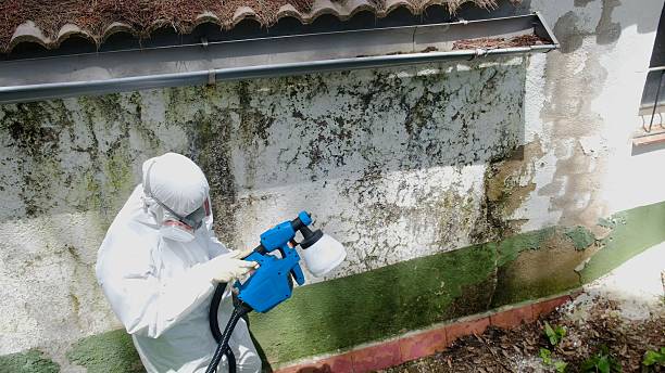 Top rated local Mold Remediation specialists in Melfa, VA